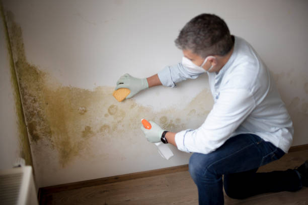 Best Water Damage & Mold Remediation  in Peachtree Corners, GA